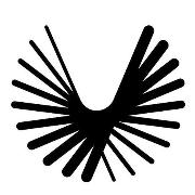 Boom Supersonic Logo